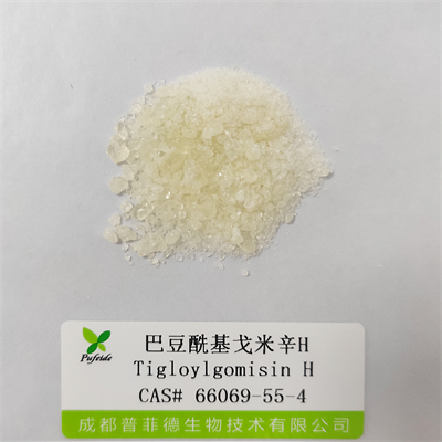 巴豆?；昝仔罤|66069-55-4